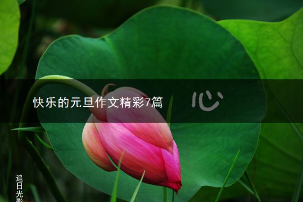 快乐的元旦作文精彩7篇