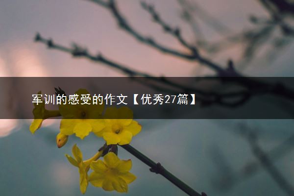 军训的感受的作文【优秀27篇】
