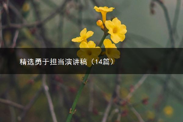 精选勇于担当演讲稿（14篇）